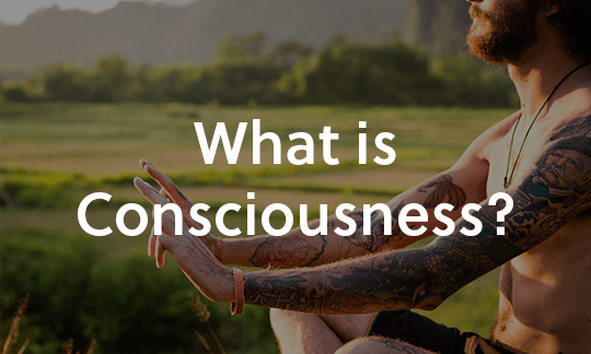 What is Consciousness?