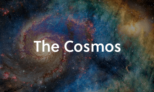 The Cosmos