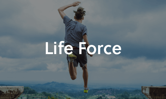 Life Force