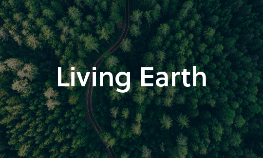 Living Earth
