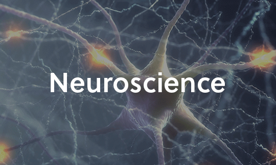 Neuroscience