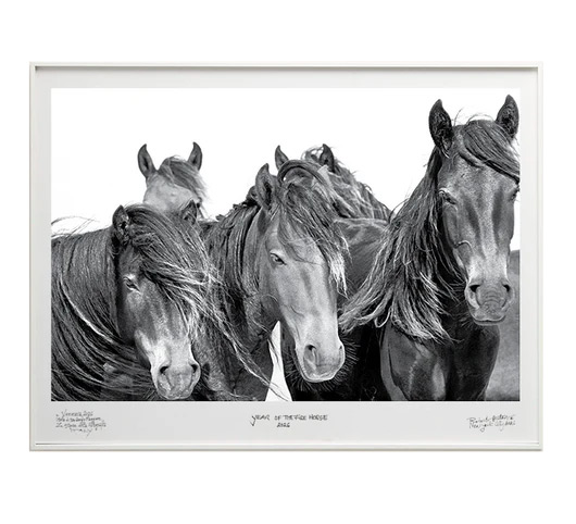 "LCN" – Three wild horses face the camera in extreme close-up, their windswept manes and intense eyes filling the frame in a powerful group portrait. Photograph by Roberto Dutesco.