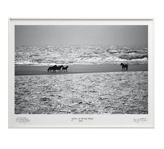 "Past to Present" – A wide landscape shot of wild horses silhouetted against the North Atlantic ocean, scattered along the reflective shoreline of Sable Island beneath a dramatic sky. Photograph by Roberto Dutesco.
