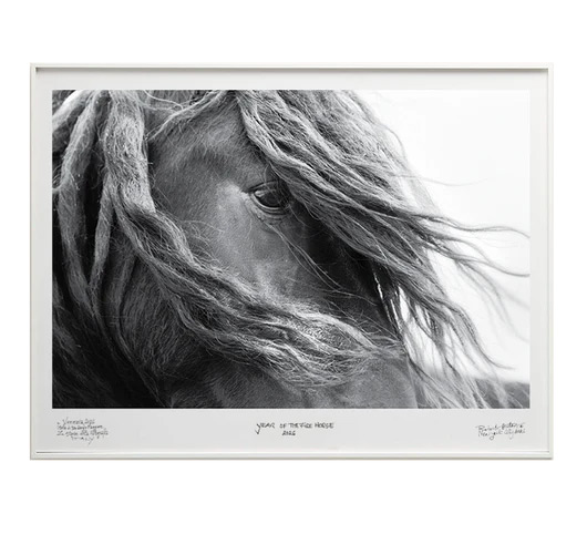 I AM – An extreme close-up of a single wild horse's face, one dark eye visible through a cascade of windswept mane, evoking raw beauty and quiet power. Photograph by Roberto Dutesco.