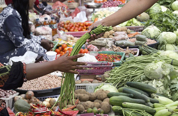 The Purpose of Economics is Flourishing