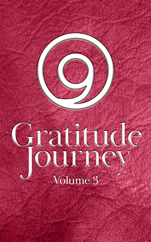 Book cover for Gratitude Journey Volume 3