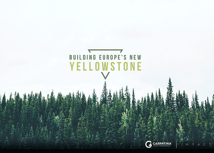 Building Europe's New Yellowstone