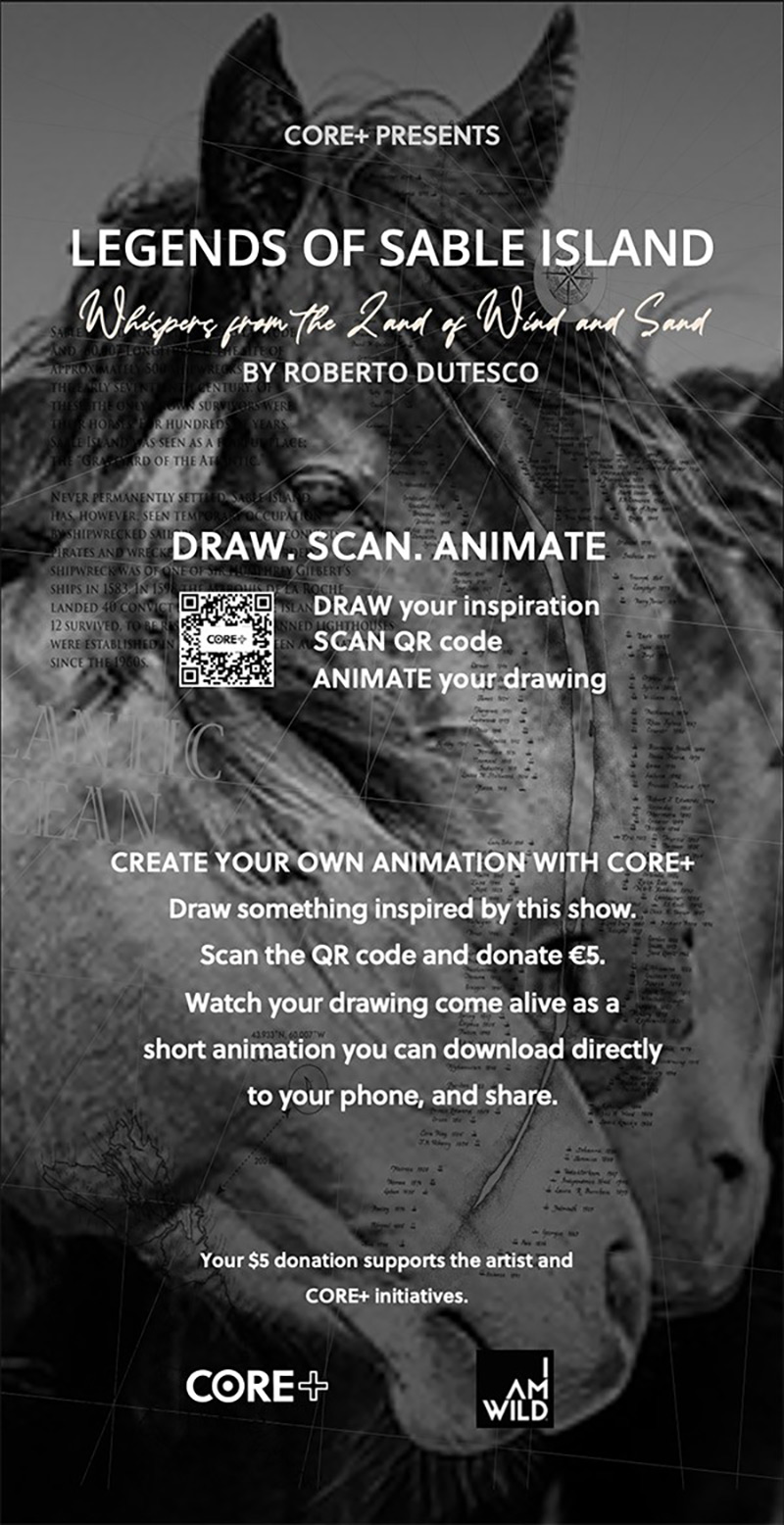 Banner for Legends of Sable Island Draw Scan Animate campaign