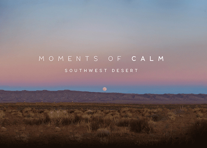 Southwest Desert
