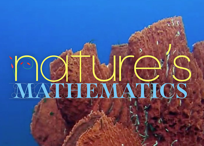 Nature's Mathematics: Episode 1